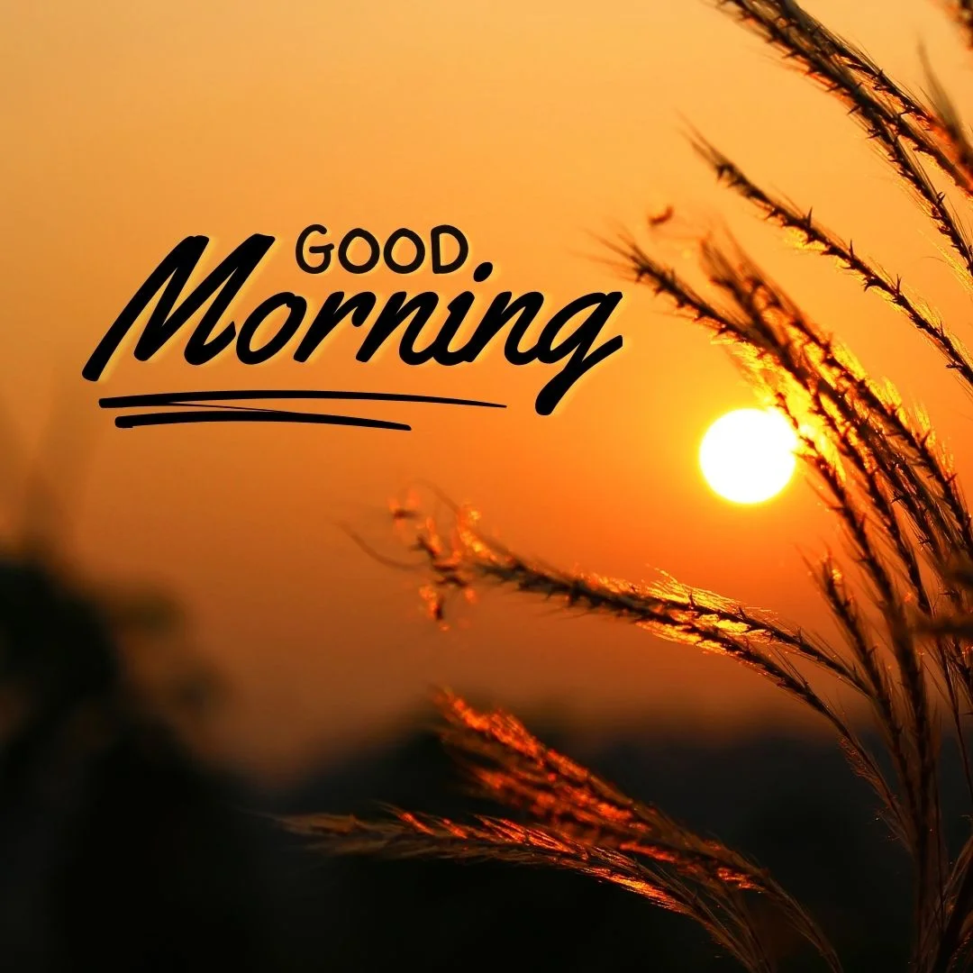 80+ Good morning images free to download 5